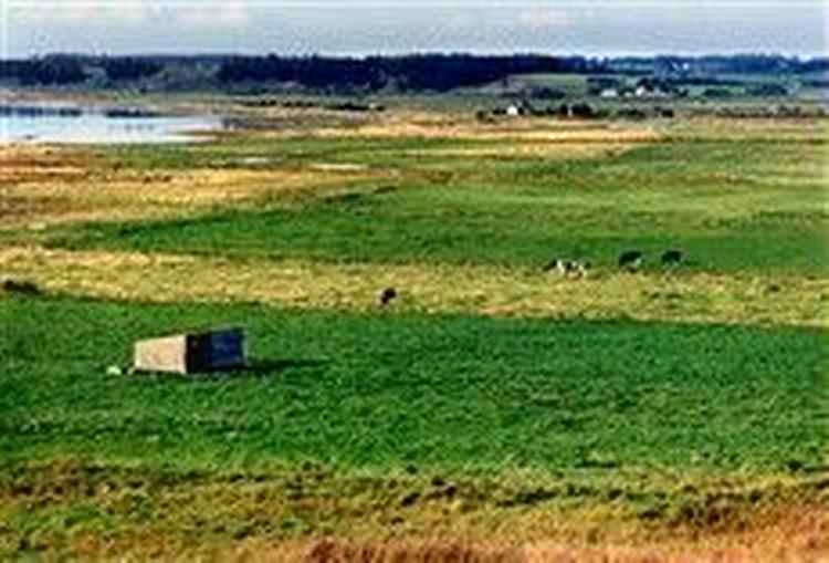 LOVNS BREDNING. Det er i dette landskab ved Limfjorden, handlingen i Ida Jessens nye roman finder sted.   Foto: Jørgen Nielsen 