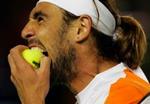 Marcos Baghdatis tager en bid af bolden under dysten med Ljubicic. - Foto: AP 