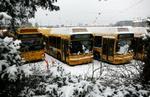 Busserne holdt stille i går hos Arriva Ryvang. Det gør de også i dag. - Foto: Jens Dresling 