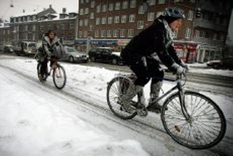 - Foto: Jens Dresling 