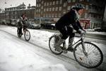 - Foto: Jens Dresling 