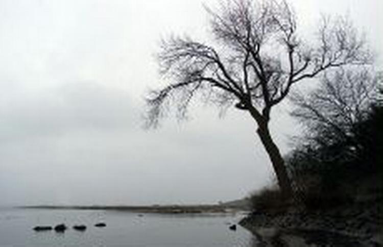 Danmark får en grå weekend. - Arkivfoto: Lars Skaaning 