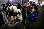 Niels Ulrik Grøndahl er et af de 350 børn i Gentofte Rideklub, hvor han rider på Ministar. Hvis nye regler for hestes velfærd bliver vedtaget, risikerer klubben at måtte lukke.   Foto: Jens Dresling 