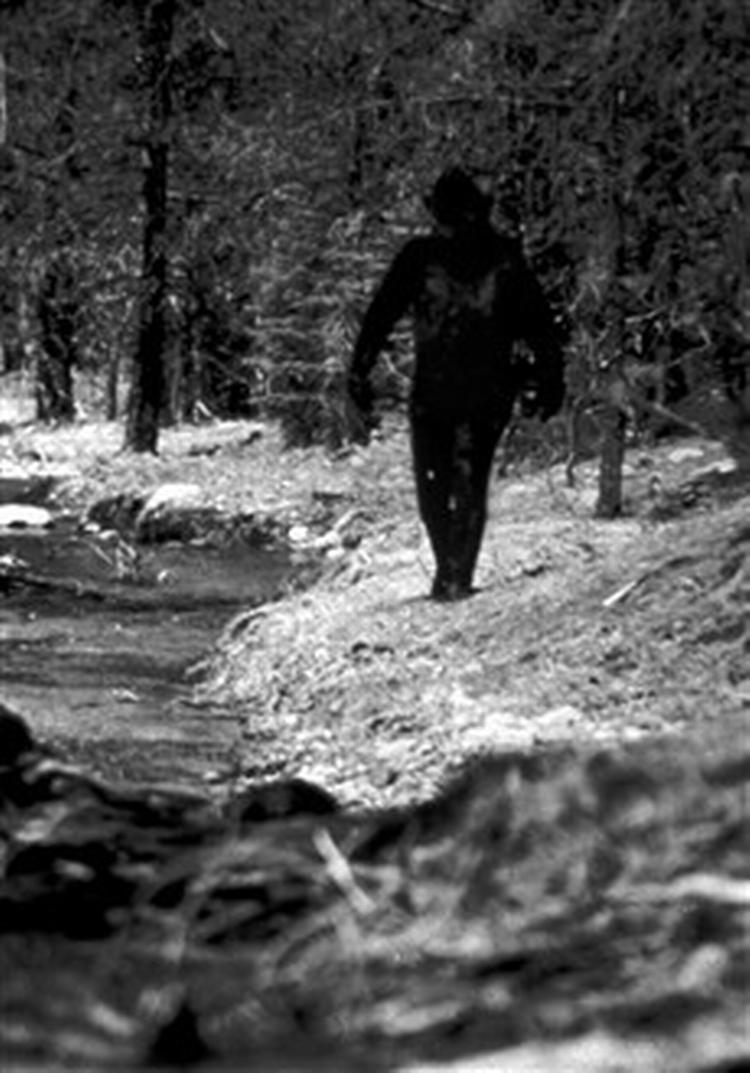 Det er aldrig lykkedes nogen at fange malaysiske  junglemand  på film. Men efter beskrivelsen skulle han minde påfaldende meget om  Big Foot , som mange amerikanere mener at have set   her angiveligt fanget på 16-mm-film i 1977.   Arkivfoto: AP 
