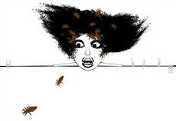 Illustration: Maibritt Bernt-Jensen 
