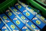 Arla sætter prisen på mælk ned hos landmanden for at dække tabet på Muhammed-sagen. Det betyder et umiddelbart tab på omkring 26.400 kroner hos den enkelte landmand her og nu. - Arkivfoto: Thomas Borberg 
