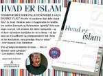 Denne omstridte annonce kommer alligevel til at pryde Nørreport Station. 