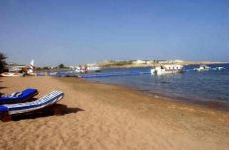 I kølvandet på krisen om Jyllands-Postens tegninger af profeten Muhammed, oplever Egyptens turistindustri en alvorlig nedgang. - Foto: AP 