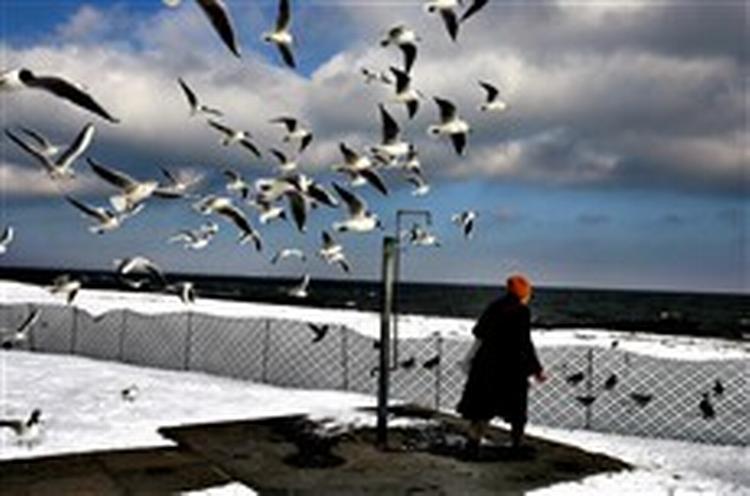 Februar var 0,6 grader varmere end gennemsnittet, men i marts er kulden vendt tilbage, og stranden ved Bellevue er igen dækket af sne.   Foto: Jacob Ehrbahn 