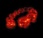 Billedet er en fotomontage af Solens overflade, mens den gennemlever en cyklus, hvor antallet af solpletter stiger til klimaks. 