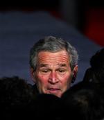 Trods mængder af fejl er det stadig entydigt præsident Bush, der er boss i staterne. - Foto: AP 