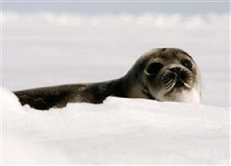 - Arkivfoto: Jonathan Hayward/AP 