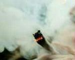 Joint