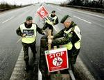 »Vi må indstille os på, at der findes flere fugle med H5 i de kommende dage«, siger Sundhedsstyrelsen, efter at der er konstateret fugleinfluenza i Danmark. - Foto: Thomas Borberg 