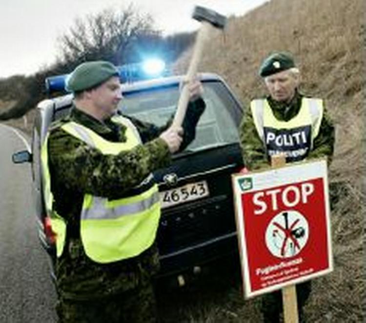 Svinø er blevet verdenskendt i Danmark efter at en musvåge viste sig at være smittet med fugleinfluenza. - Foto: Thomas Borberg 