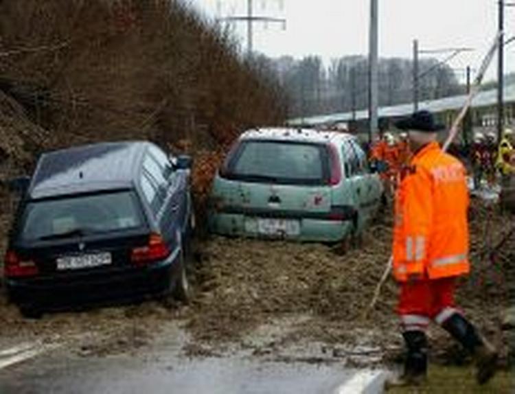 Det pludselige tøvejr førte blandt andet til dette mudderskred i byen Riedtwil i Schweiz. Ingen kom alvorligt til skade ved uheldet. - Foto: AP 