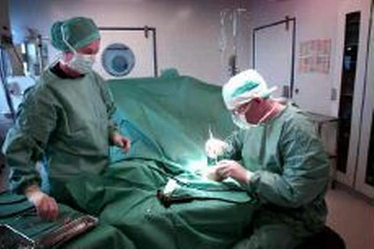 43 personer ansat i sundhedssektoren er på sundhedsstyrelsens sorte liste - Arkivfoto: Jens Dresling 
