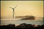 The Independents læsere er kommet med ti bud til, hvordan den globale opvarmning kan bekæmpes. et af forslagene går på at bruge mere vindmølleenergi. - Arkivfoto: Claus Bonnerup 