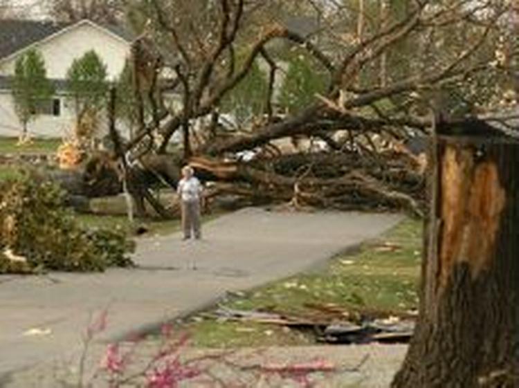 En kvinde står ved et af de kæmpemæssige træer, der måtte falde for stormens hærgen. - Foto: AP 