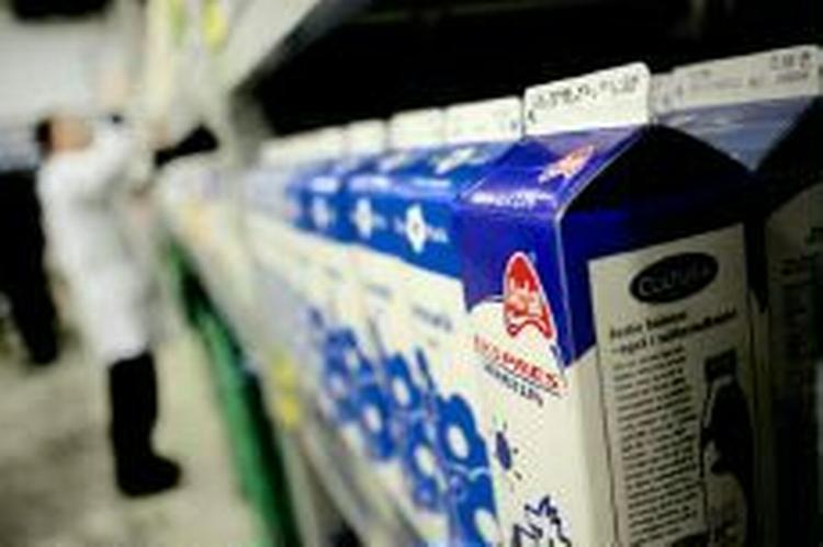 Arla har nu taget konsekvensen af det faldende salg som følge af sagen om Muhammed-tegningerne. Og det betyder fyringer. - Arkivfoto: Thomas Borberg 
