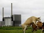 Atomkraftværket Barsebäck lukkede sidste år, men samtidig har støtten blandt svenskerne til atomkraft aldrig været højere. - Arkivfoto: Mads Nissen 