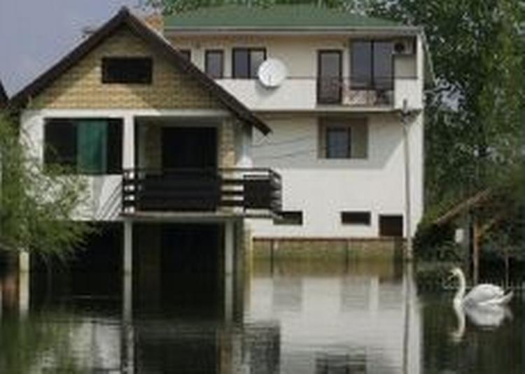 Oversvømmelser i Novi Sad i Serbien. Vandet trækker sig tilbage i løbet af et par uger, lyder meldingen. - Foto: AP 