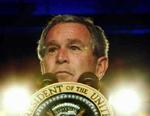 George W. Bush har lanceret sit hidtil største indgreb mod sin egen gamle branche i håb om, at det kan redde ham fra hans til dato dårligste meningsmålinger. - Arkivfoto: AP 
