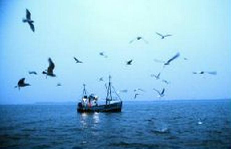 - Arkivfoto: Claus Bonnerup 