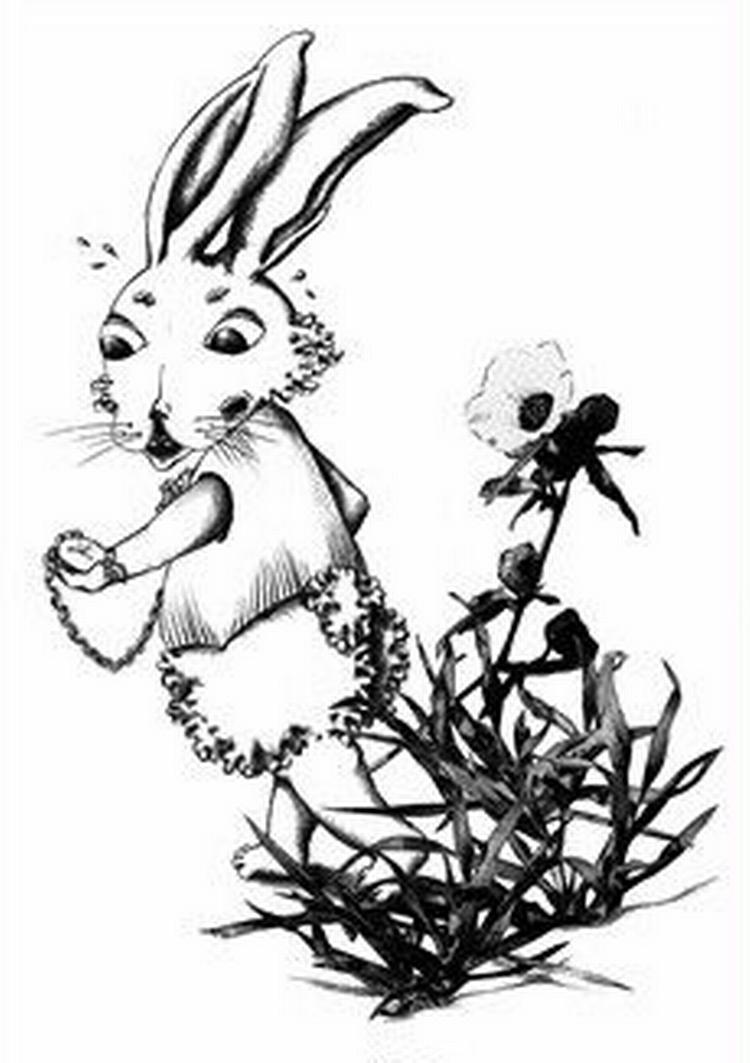 Illustration fra bogen. 