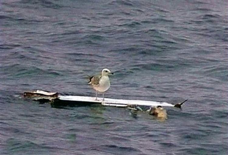 En måge har slået sig ned på en af vragresterne fra det armenske fly, der styrtede ned i Sortehavet natten til onsdag. - Foto: AP 