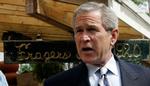 Den amerikanske præsident George W. Bush udtalte fredag, at Tredje Verdenskrig blev indledt ved terrorangrebet på World Trade Center. - Foto: AP 