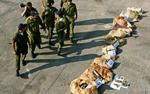 Israelske soldater fremviser en sjælden fangst: 500 kilo sprængstof. - Foto: AP 