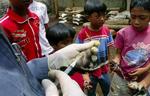 Sundhedspersonale vaccinerer en fugl i Indonesien. WHO slår alarm, efter at en hel familie er død af fugleinfluenza i landet. - Foto: AP 