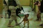 For 11. gange er der nu faldet dom over en soldat, der har medvirket til mishandling af fangerne i Abu Ghraib-fængslet. - Arkivfoto: AP 