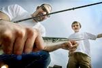 Pinsesol eller ej. Hornfisken er kommet til Danmark og vil være en oplagt fangstmulighed for lystfiskere i weekenden. - Foto: Linda Johansen 
