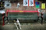 Kriminalinspektør Ove Dahl understreger, at det er politiet selv, der har fundet frem til den 21-årige. Ingen fra miljøet på fristaden har hjulpet til, understreger han. - Arkivfoto: Linda Johansen 