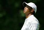 Tiger Woods i krise. - Foto: AP 