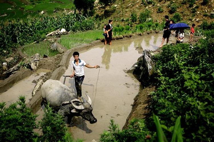 Også i Vietnam er den økonomiske udvikling stærkest i byerne, og på landet er der udbredt fattigdom.   Foto: Anders Birch 