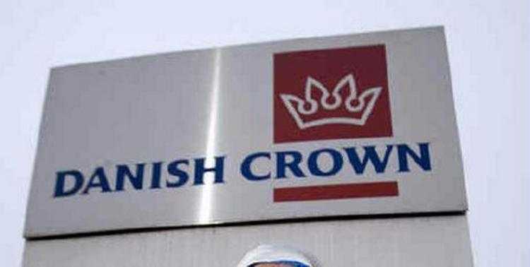 De ansatte på Danish Crown har nedlagt arbejdet - Foto: Rasmus Baaner 