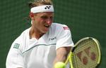 David Nalbandian. - Foto: AP 