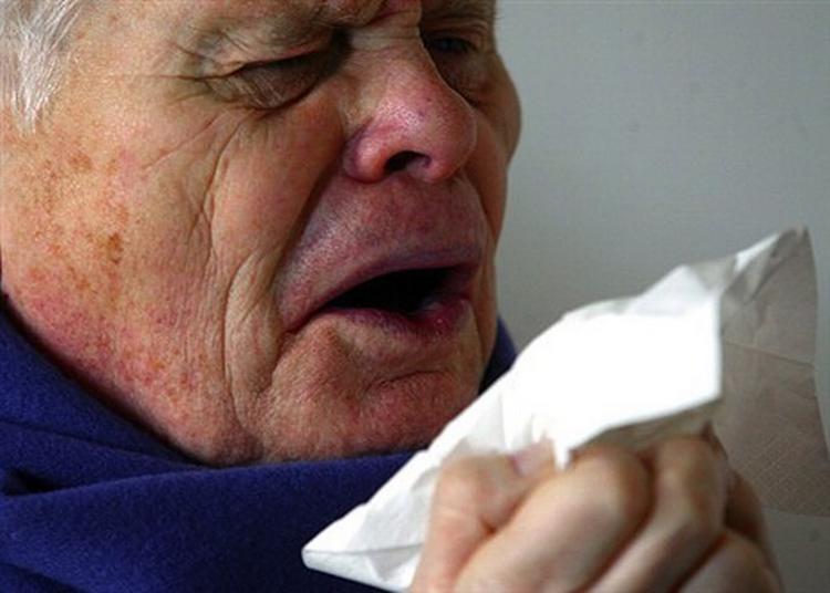 Stadig flere danskere bliver ramt af allergier - og der er ikke nok læger til at behandle sygdommen. - Arkivfoto: AP 