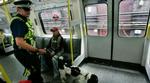 En betjent med en bombehund gennemsøger et undergrundstog. Sikkerhedsforanstaltningerne er øget efter terrorangrebet sidste år. - Foto: AP 