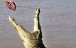AUSTRALIA CROCODILE HUNTING