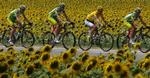CYCLING TOUR DE FRANCE
