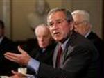 BUSH