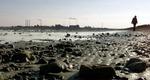 Cheminova ved Harboøre Tange. - Arkivfoto: Morten Langkilde 