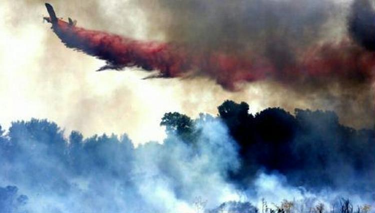 Et israelsk fly prøver at slukke en brand i nordisraelsk by forårsaget af en raket afsendt fra Sydlibanon. - Foto: AP 