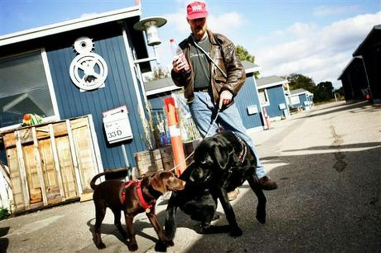 Har man hund, har man ret til at få den forsikret - også selv om man er hjemløs. - Foto: Mads Nissen 