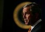 BUSH