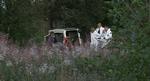 Politiet fandt torsdag et skelet i Tranum Klitplantage. - Foto: Localeyes 